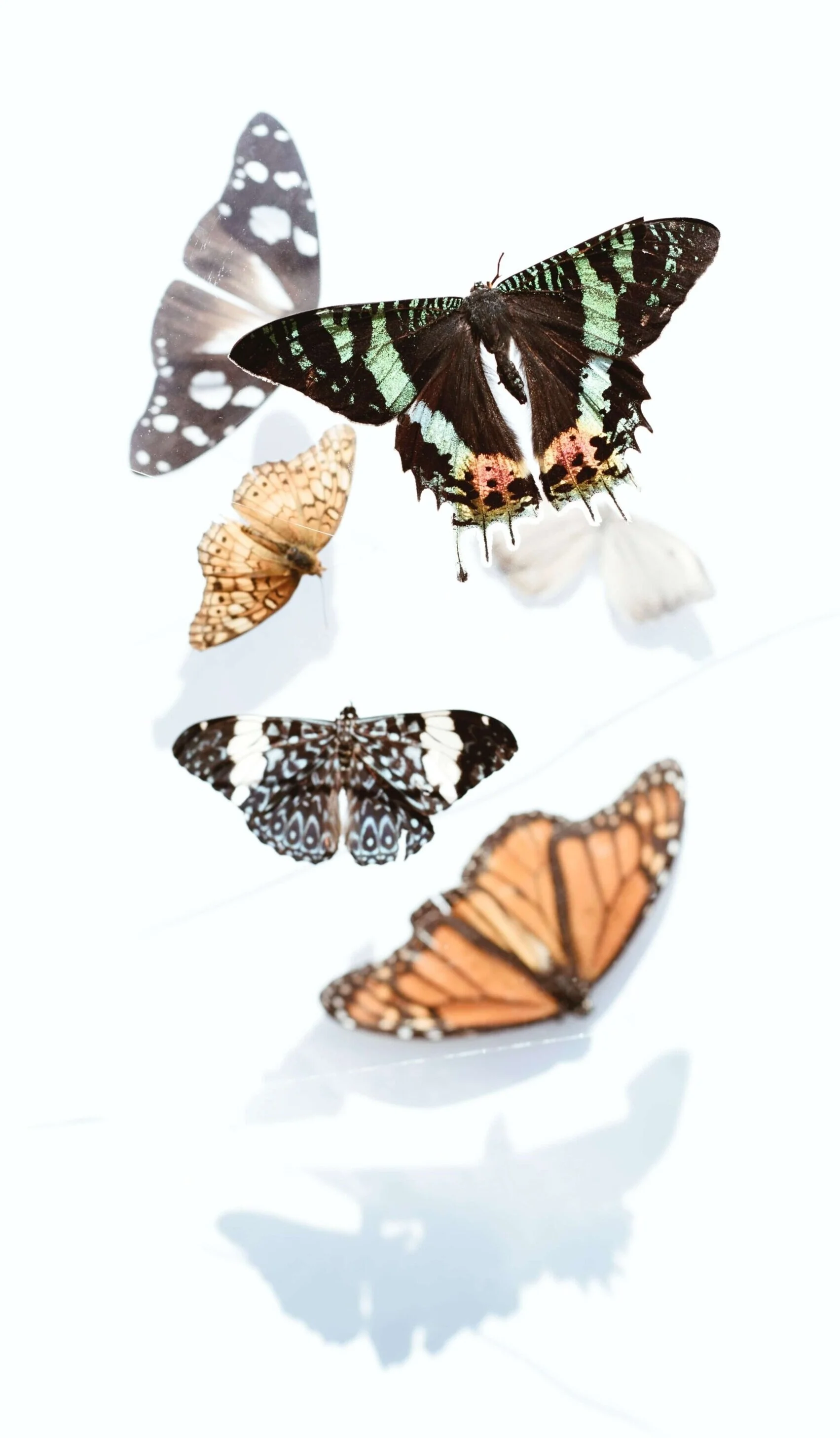 evie-s-XkF8LgDb0do-unsplash-4web.jpg