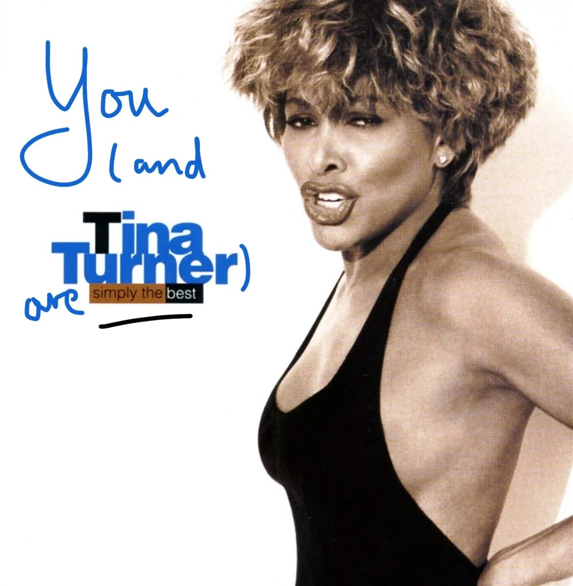 TinaTurnerSimplyTheBest.png